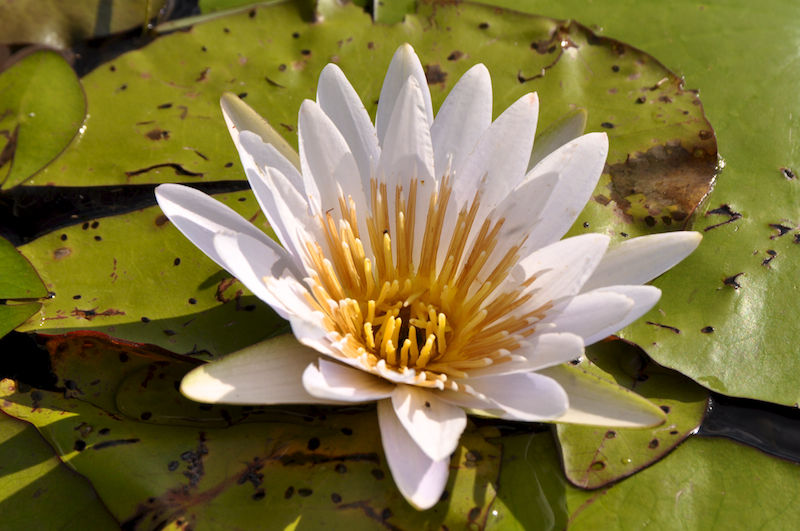 Melanie Heinrich Travel Images Africa